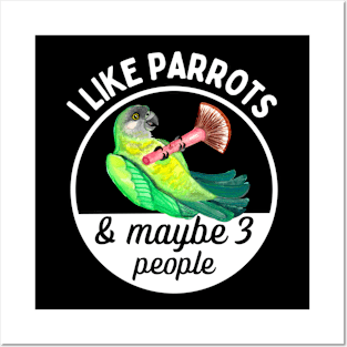 I Like Senegal Parrots and Maybe 3 People Posters and Art